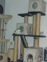 /album/258/whatsapp-image-2026-04-05-at-00-31-04-jpeg/